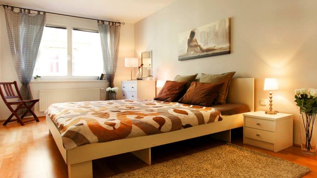 апартамент vienna de luxe (11)