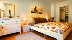 Luxury two-rooms apartment in the heart of Vienna, DE LUXE