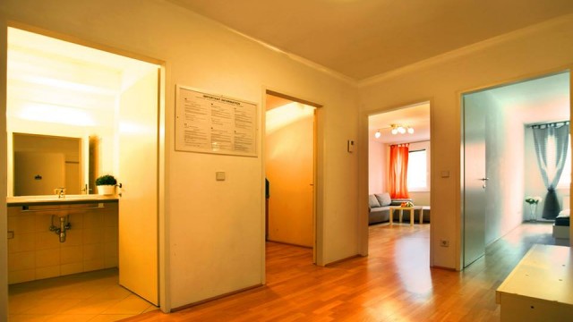 апартамент vienna de luxe (9)