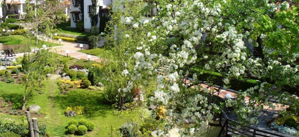 комплекс- Oasis Resort and Spa- лозенец13