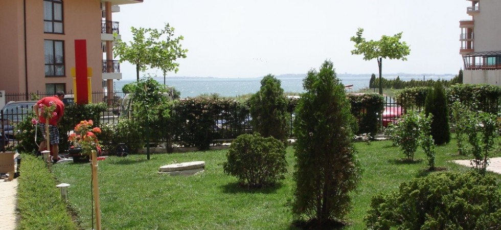 DSC02890